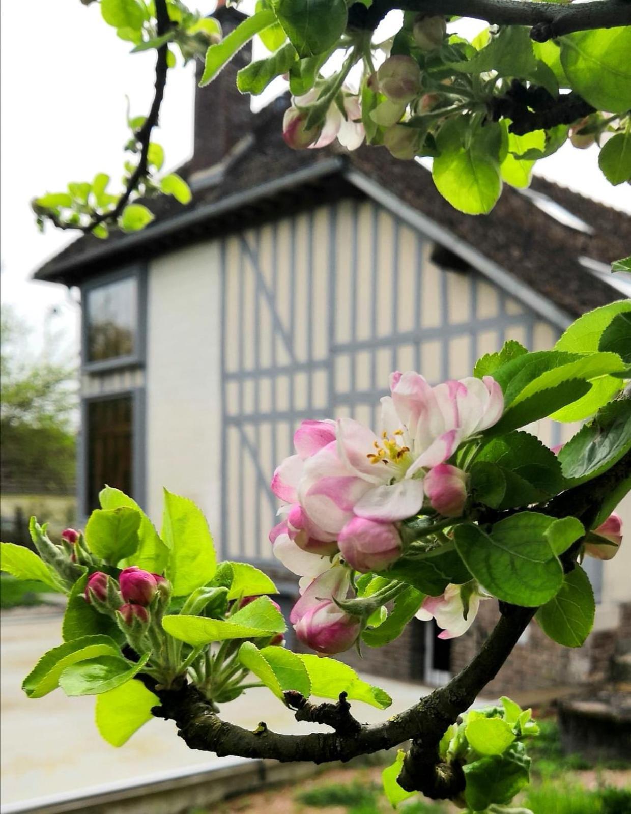Bed and Breakfast Sous Les Toits Dosches Esterno foto